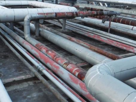 Buitengewoon | Concrete Canvas advies