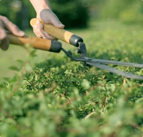 Terreinonderhoud bij Buitengewoon B.V.